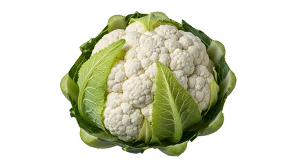 A single head of cauliflower with green leaves isolated on a white background in a studio shot