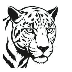 black and white illustration of a tiger's head.isolated on a white background.