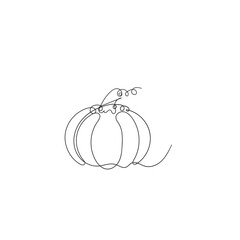 Pumpkin continuous line art. Pumpkin vegetable one line drawing. Halloween food vegetable concept vector illustration