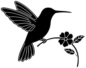 Obraz premium hummingbird illustration animal silhouette bird logo beautiful icon wildlife outline colorful fauna feather nature fly flight green exotic beak shape iridescent vector graphic background