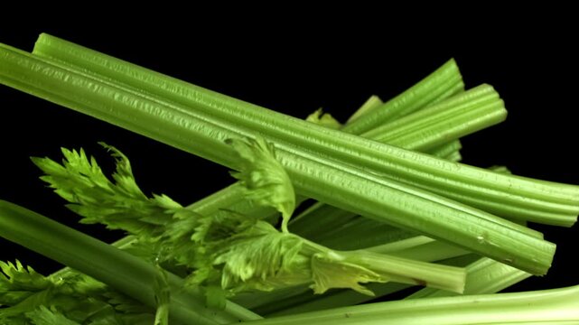 Fresh celery soars up on a black background. Filmed on a high-speed camera at 1000 fps. High quality FullHD footage
