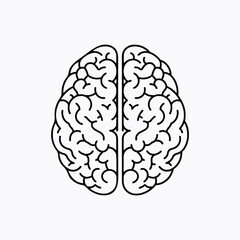 Detailed illustration of a human brain with prominent cortical folding