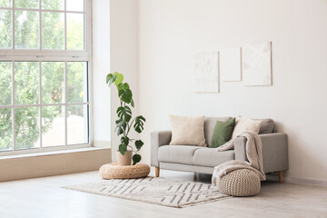 Interior of light living room with stylish paintings, sofa and palm plant