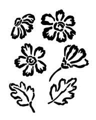 Vector floral elements. Flowers and leaves. Hand-drawn sketch with black brush. Abstract primitive botanical drawing isolated on white background.