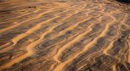 The intricate pattern of wind-blown sand on a rock.