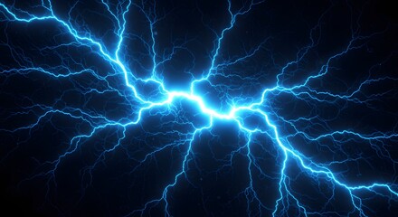 The intricate, fractal pattern of a lightning bolt.