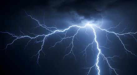 The intricate, fractal pattern of a lightning bolt.