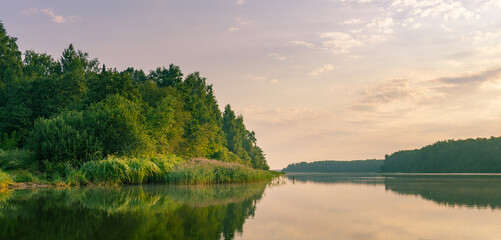 Calm lake with a forest in the background