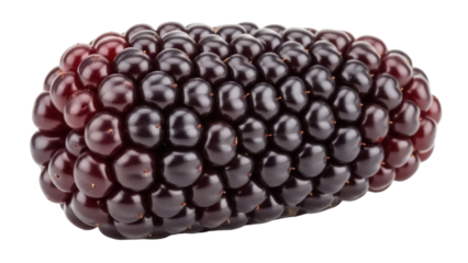 Fresh blackberry fruit isolated PNG, ripe and juicy dark purple berry on transparent background for healthy eating and summer designs