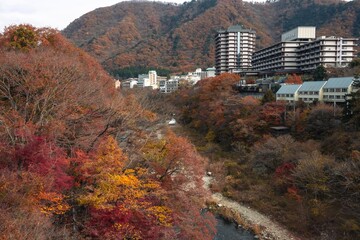栃木県 紅葉真っ盛りの龍王峡
