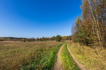 Road runs through a field of tall grass