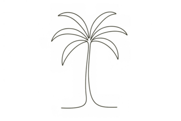 Minimal line art drawing of a palm tree, suitable for tropical, beach, vacation, and summer designs, transparent background included