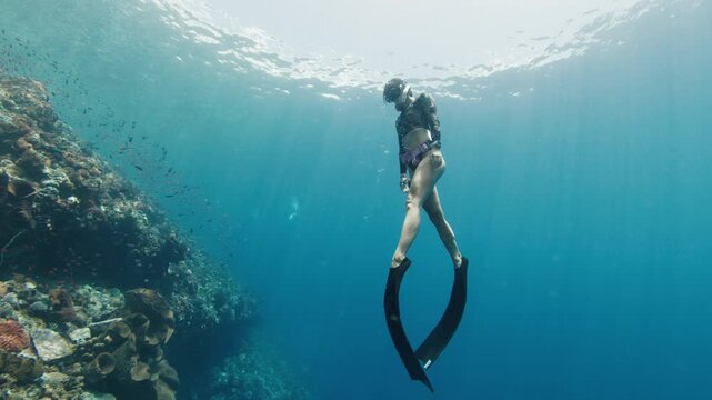 Underwater view of the woman freediver in sensual bikini exploring healthy coral reef in the tropical calm sea near the Alor island in Indonesia