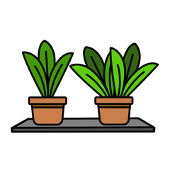 Twin Leafy Plants on Shelf