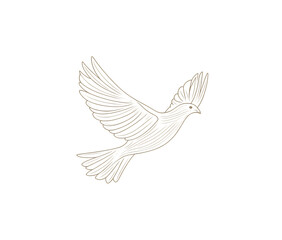 Obraz premium Detailed line art sketch of a bird in flight isolated on transparent background