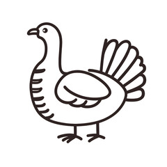 Fototapeta premium Simple outline drawing of a turkey standing proudly with its tail feathers fanned out isolated on transparent background