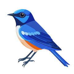 Obraz premium Vibrant blue bird with orange chest isolated on transparent background