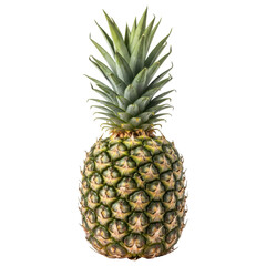 Fototapeta premium Whole fresh tropical pineapple fruit with spiky green crown standing upright on transparent background