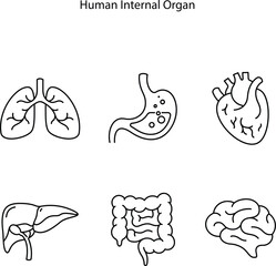 Naklejka premium Human Internal Organ Anatomy Line Icon Set. Liver, Brain, Stomach, Heart, Lung, and Intestine Linear Pictogram. Healthcare Sign. Vector Illustration.
