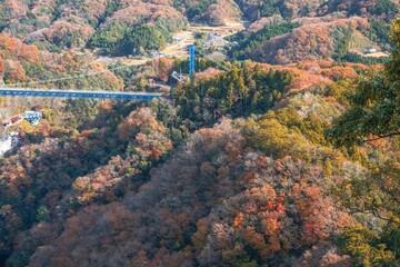 茨城県常陸太田市　紅葉の竜神大吊り橋
