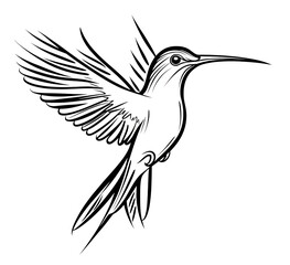 Obraz premium Detailed sketch of a hummingbird in flight with intricate feather details isolated on transparent background