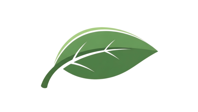 Green leaf vector illustration with veins isolated on transparent background - Powered by Adobe