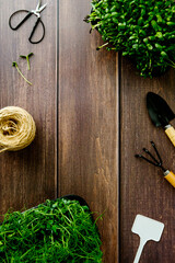 Vertical flat lay of microgreens, tools, and blank plant label on wooden table.