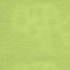 Soft light-green fabric background with subtle woven details and gentle mottling—perfect for fresh, natural-themed designs, textiles, packaging, scrapbooking, branding, and digital art projects.