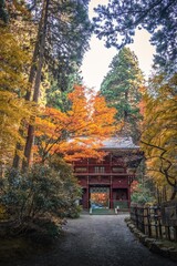 茨城県日立市　紅葉の御岩神社

