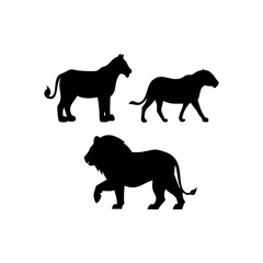 Obraz premium Wild Big Cat Silhouettes Set – Lion, Tiger and Cheetah Vector Illustration”