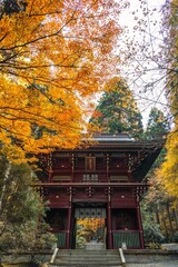 茨城県日立市　紅葉の御岩神社
