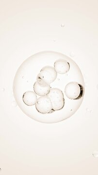 Macro of drops of liquid moving inside bubbles. Skin care serum droplets uniting into one. Cosmetics moisturizer fluid concept. Looping animation