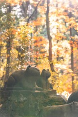 茨城県日立市　紅葉の御岩神社
