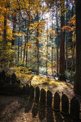 茨城県日立市　紅葉の御岩神社
