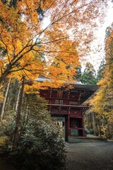 茨城県日立市　紅葉の御岩神社
