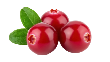 Three shiny cranberries with leaves PNG isolated on transparent background, fresh red berries for healthy eating and festive decoration
