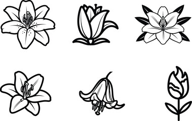 Fototapeta premium Elegant floral outline collection for creative projects featuring lily and tulip illustrations ideal for botanical themed designs and minimalist artwork perfect for greeting cards and invitations