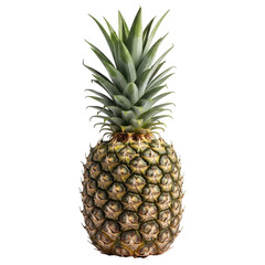 Fototapeta premium Whole fresh tropical pineapple fruit with green crown standing upright on transparent background