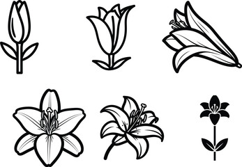 Elegant Lily Flower Vector Art Illustration Collection for Floral Designs and Botanical Creations