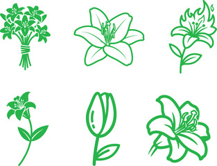  Lily Flower Collection in Green Outline Illustration showcasing various lily arrangements