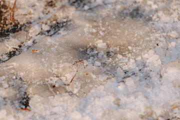 Snow and ice on the road surface