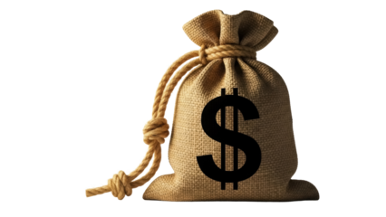 Money bag with dollar sign PNG isolated on transparent background, burlap sack full of cash and savings for finance and investment concepts