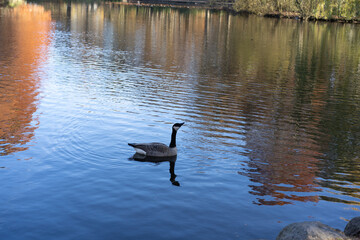 Region Teutoburger Wald