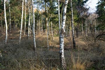 Region Teutoburger Wald