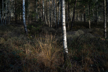 Region Teutoburger Wald