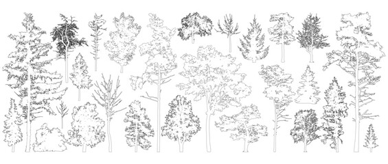 Tree contours. Isolated forest trees on white background. Vector illustration