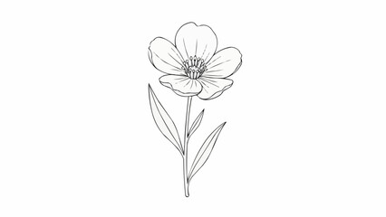 Delicate flower sketch with detailed petals and slender stem.