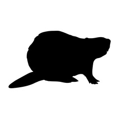 Beaver silhouette. Realistic vector animal.