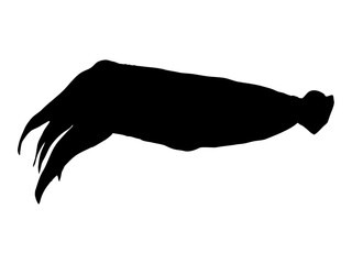 Silhouette of a common cuttlefish. Realistic vector animal