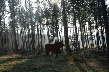 Region Teutoburger Wald